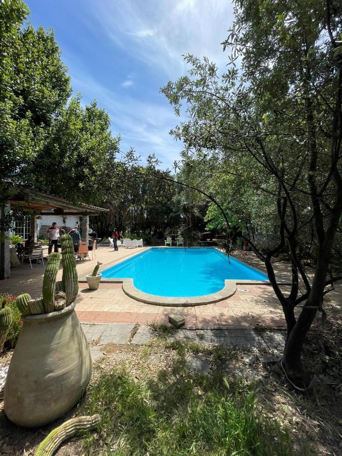 Loft Mansardato Con Giardino E Piscina In Villa Privata Loft With Garden And Swimming Pool In A Private Villa Sestu Eksteriør bilde